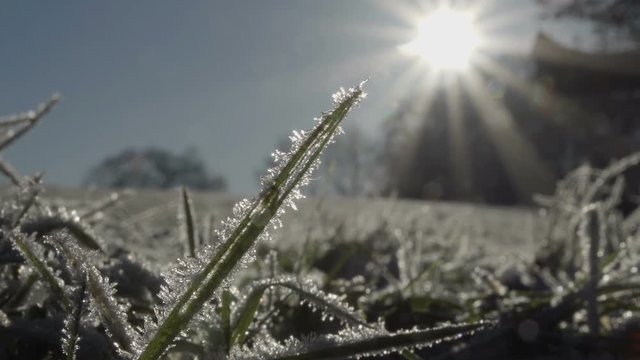 Macro shot of frozen ice crystals on grass turf