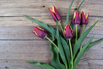 Red tulips on an antique wooden background. Copy space.