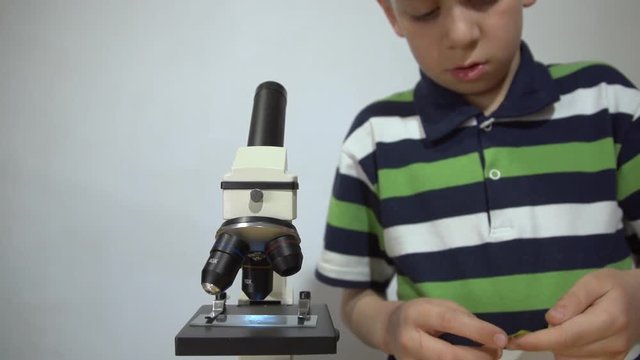 A boy in a striped T-shirt cuts a green leaf from a twig using metal scissors, then puts it on a slide and looks under a microscope, a close-up shot.