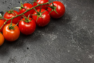 Cherry tomatoes on a branch on a dark background. Copy space. Food background