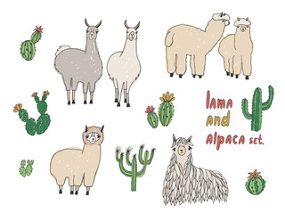 Cute Lama, Alpaca and cactuses set. Hand drawn vector illustration © Good Studio