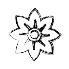 beautiful flower icon over white background. vector illustration