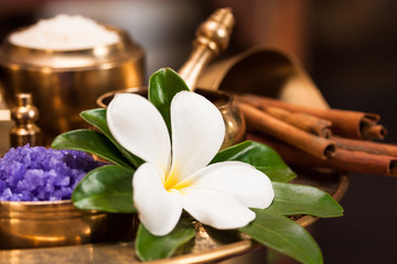 set of thai spa herb with plumeria flower in golden container, purple salt and cinnamon stick in background