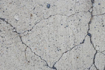 Cement floor in garden