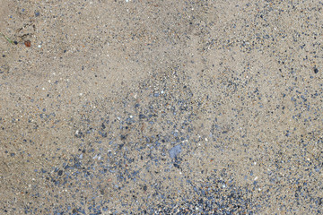 ground