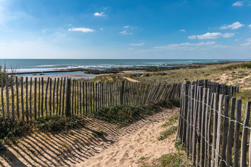 Fototapeta na wymiar Chemin dans les dunes vers la plage de la Paracou (Les Sables d'Olonne)