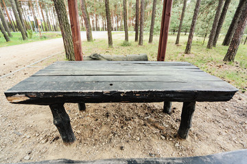 wooden old table of free space for your decoration and background of natural forest 