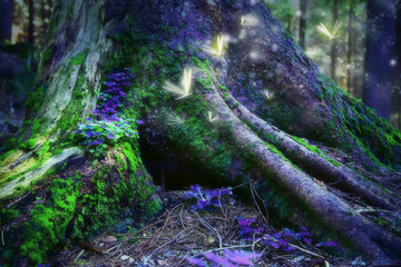 Enchanted forest with magic fireflies