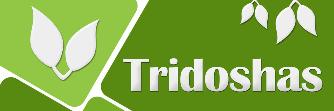 Tridoshas Green Rounded Squares 