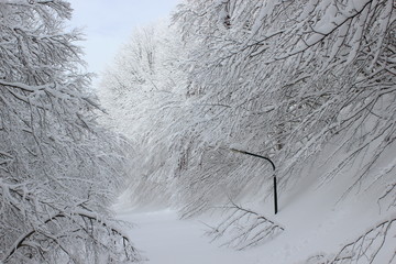incanto di neve due