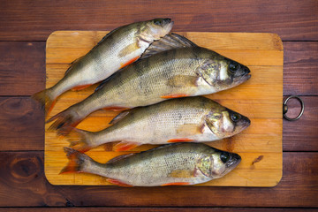 A few fresh perch fish on a wooden surface