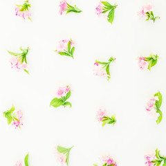 Floral pattern made of pink flowers and leaves on white background. Flat lay, top view