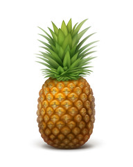 Whole ripe pineapple