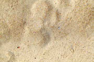 Beautiful yellow sand