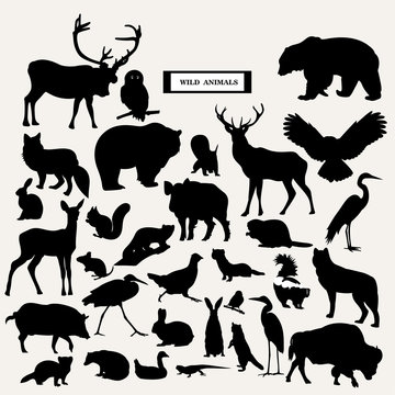 Vector silhouette of wild animals