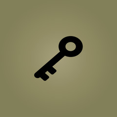 Key icon. flat design