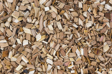 Woody background. Pieces of wood.