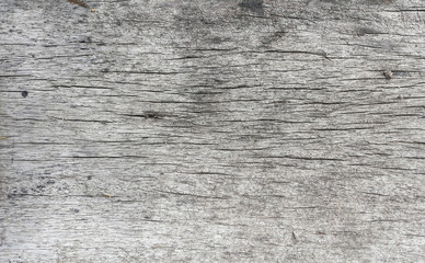 Cement floor in garden