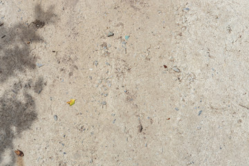 ground