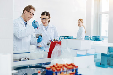 Fototapeta premium Positive delighted medical workers doing experiment
