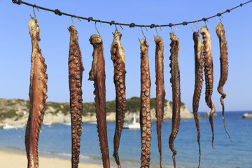 Freshly caught octopuses hanging on a string to dry, Octopuses drying under the sun, Defocused sea and sky in the background