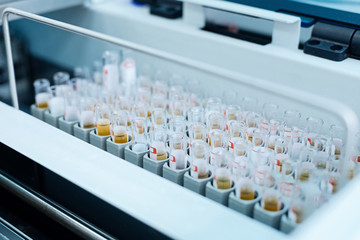 Test tubes standing in special organizer