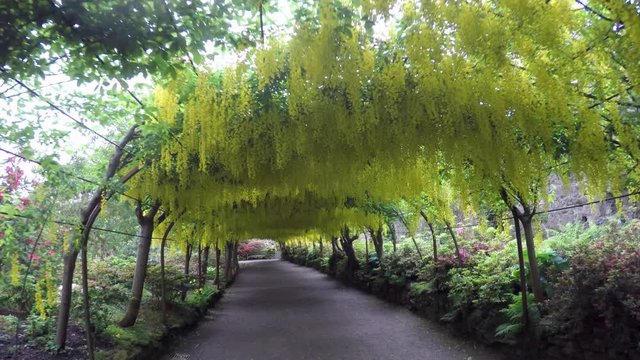  Laburnam Walk