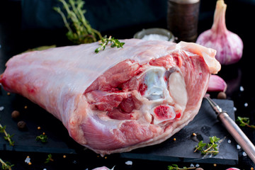 Fresh raw turkey meat on bone, horizontal