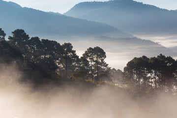 Natural morning scene with fog on hill