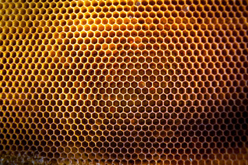 Background texture and pattern of a section of wax honeycomb
