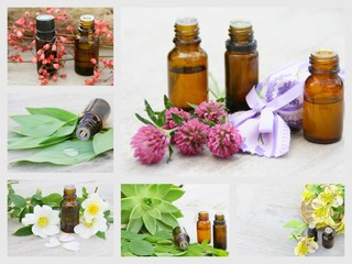 composition d'huiles essentielles 
