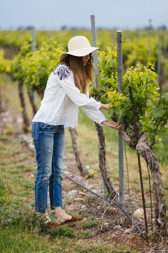 Woman checking the grapes plants