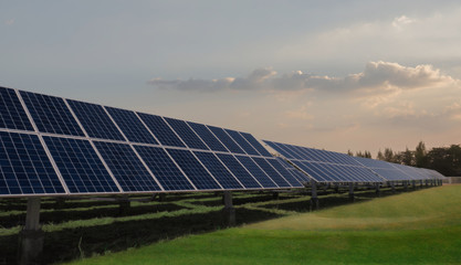 Solar panels face sunlight on green field