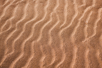 Fototapeta na wymiar full frame shot of dune