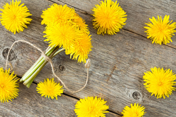 Yellow dandelion flowers-healing plants