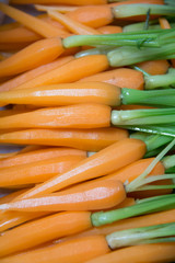 Fresh wet Baby carrots food background