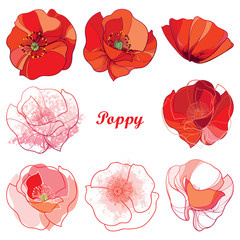 Vector set with outline Poppy flower. Ornate flowers in red, white and pink isolated on white background. Floral elements in contour style with poppy for summer design. Symbol of Remembrance Day.