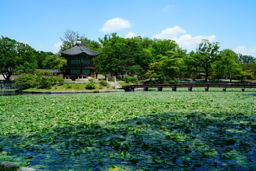 Gyeongbokgung Palace (경복궁 향원정)