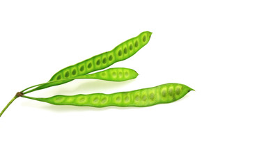 Green Seed White Popinac, Lead tree or Wild Tamarind isolated on white background