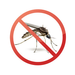Stop sign on mosquito
