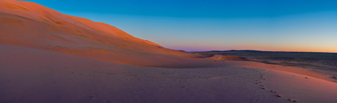 beautiful night landscape in desert
