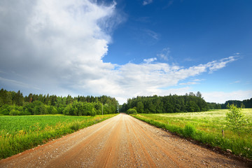 Gravel road going through field and forest in Latvia countryside