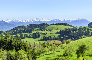 Fototapeta na wymiar typische Landschaft in der Ostschweiz am Bodensee