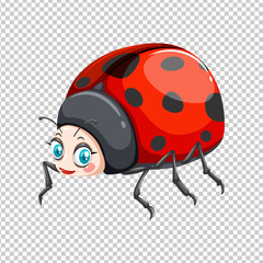 Cute ladybug on transparent background