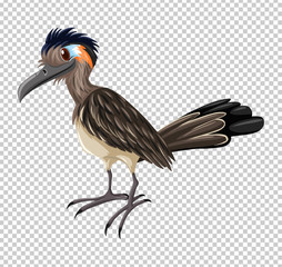 Woodpecker on transparent background