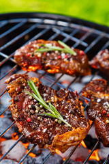 Beef steaks on the grill grate with fiery coals