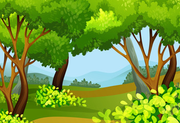 Fototapeta premium Forest scene with tall trees
