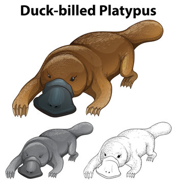 Animal outline for duck-billed platypus