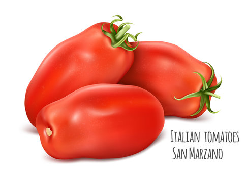 Italian plum tomatoes San Marzano. Tomato with green stem.