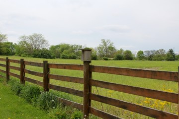 The birdhouse on top of the wooden fence.